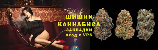 спиды Рославль