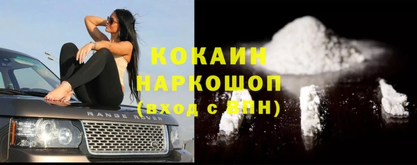 стаф Ростов
