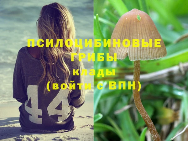 индика Абинск