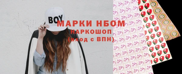 индика Абинск